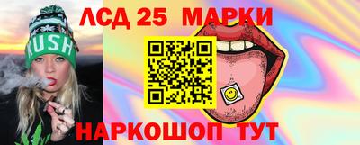 гидропоника Бийск
