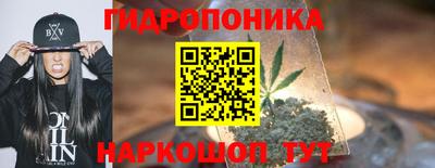 гидропоника Бийск