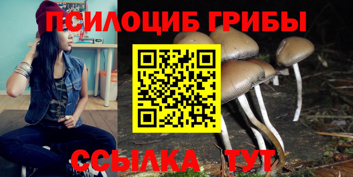 Галлюциногенные грибы MAGIC MUSHROOMS  Галлюциногенные грибы Psilocybe  Вход с VPN  Вышний Волочёк 