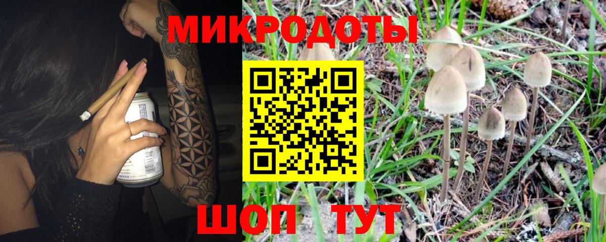 Галлюциногенные грибы ЛСД Вышний Волочёк